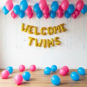 First Time Welcome Decor for Twins